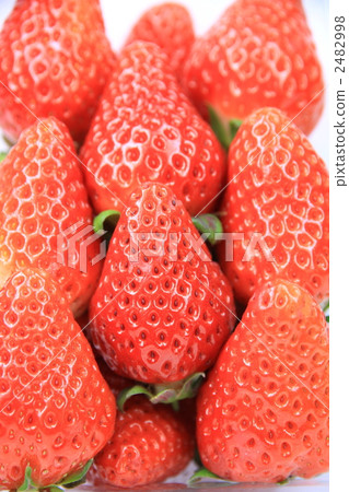 站在“Ichigo” 2482998