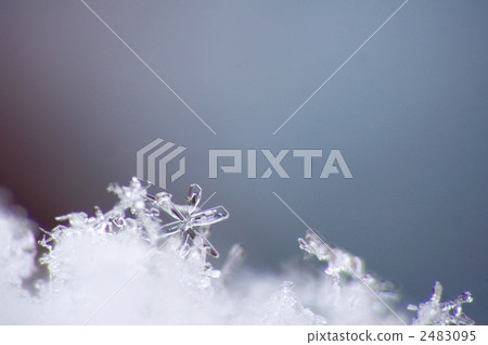 雪花 2483095
