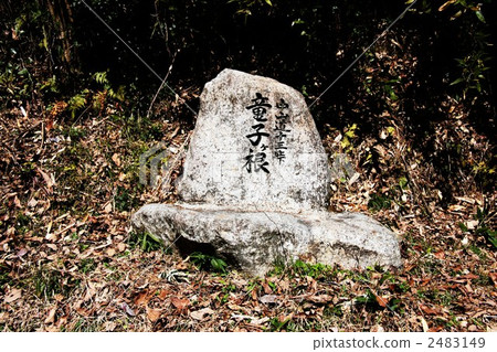 Nakasendo Juzen Pass Ryuko Rika 2483149