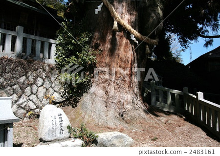 Nakasendo Oyukari inno神社的大崎 2483161