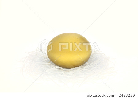 Golden egg 2483239