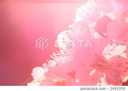 f 1901 f 1901 2483350