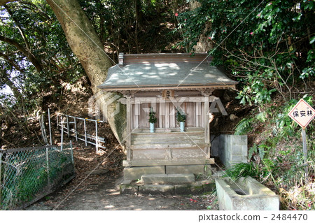 Visit the sweeping Shinmei temple where there is a well-known well of Hojo Tokimune ko Visit the sweeping Shinmei temple where there is a well-known well of Hojo Tokimune ko 2484470