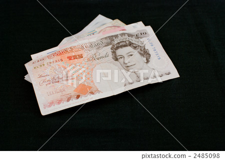 Portrait of Her Majesty the Queen British Pound 2485098
