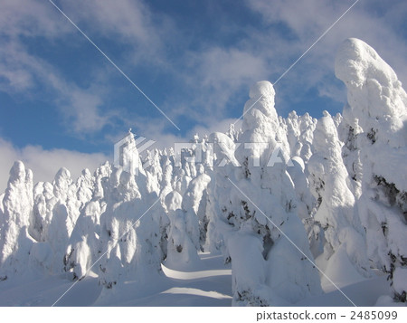 ice monster, zao onsen ski lodge, snow monster 2485099