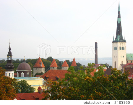 愛沙尼亞塔林景觀從山手天文台 2485560