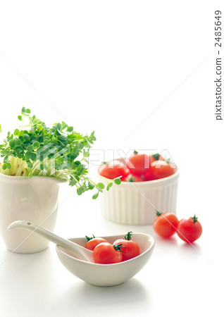 蘿蔔芽菜 迷你蕃茄 食品 2485649