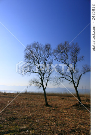 琵琶湖以南 2485938