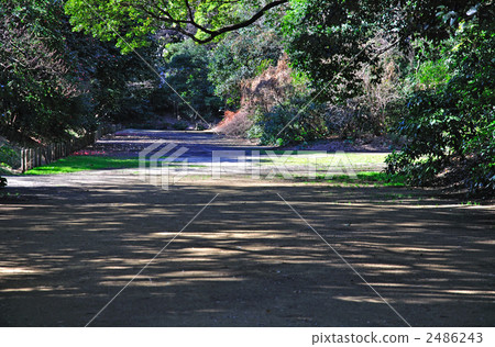 Hama Rikyu Imperial Palace garden · Baba ruins 2486243