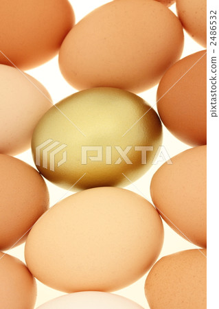 Multiple eggs 2486532