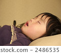 女孩睡覺的臉 2486535