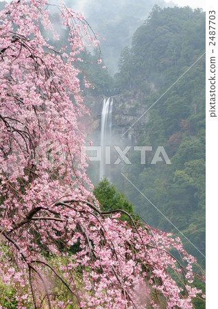 Nachi's waterfall and weeping cherry Nachi's waterfall and weeping cherry 2487703