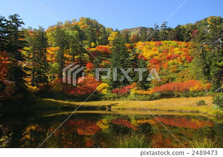 Daisetsuzan of Hokkaido · autumn leaves Daisetsuzan of Hokkaido · autumn leaves 2489473
