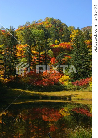 Daisetsuzan of Hokkaido · autumn leaves Daisetsuzan of Hokkaido · autumn leaves 2489474