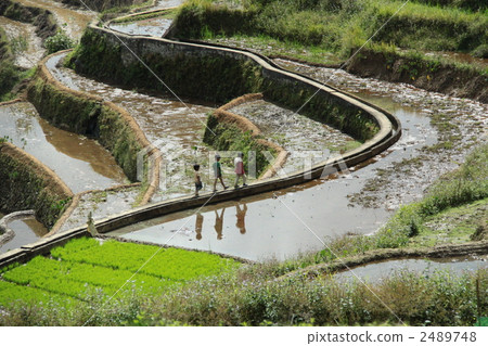 孩子們沿著小路走 2489748