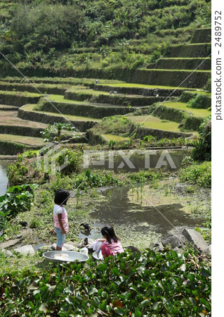 特拉達和姐妹們 2489752