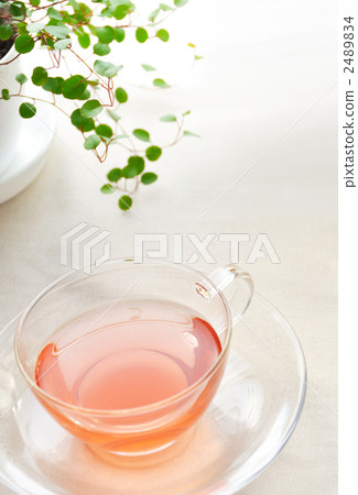 涼茶垂直1 涼茶垂直1 2489834
