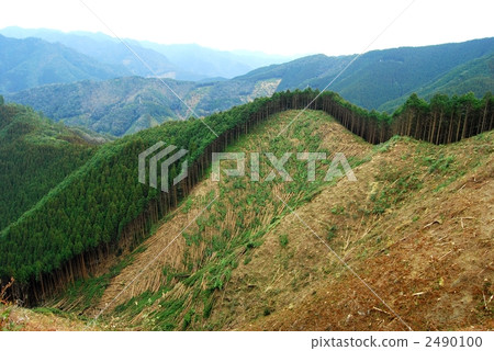 Sugiyama during logging 2490100