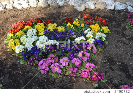 心和快樂! ! 心和快樂! ! 2490782