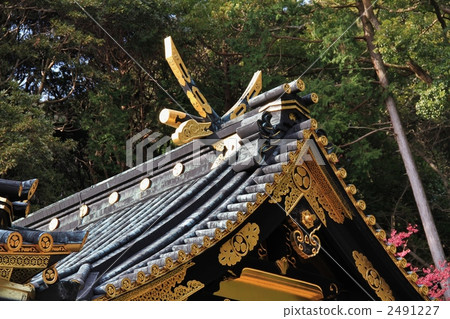 Kumozan Toshogu Shrine主樓 Kumozan Toshogu Shrine主樓 2491227