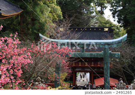 Kunozan Toshogu Shrine Torii and Tomonomon 2491265