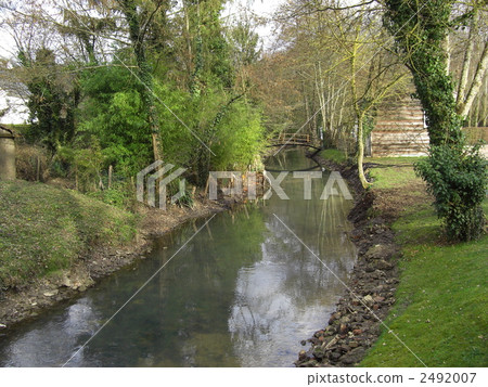 stream 2492007