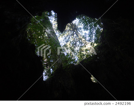 Yakushima / Wilson shares 2492196