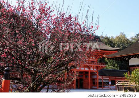 Shimogamo神社 Shimogamo神社 2492550