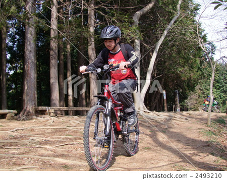 Cycling Cycling 2493210