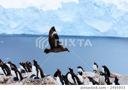 椅子綠色毛蟲 2493933