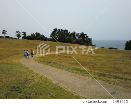 Boys walking through the wilderness 2495615