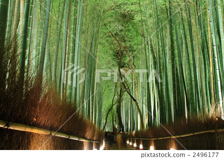 嵐山花光路竹林胡同 2496177