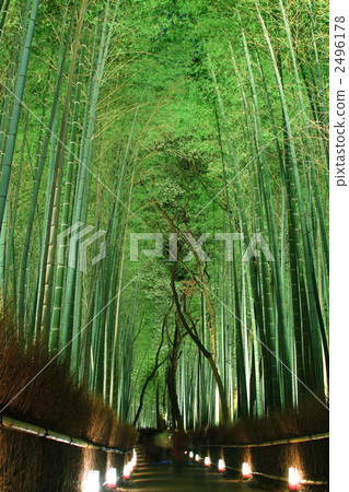 嵐山花光路竹林胡同 嵐山花光路竹林胡同 2496178