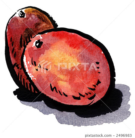 mango, mangoes, fruit 2496983
