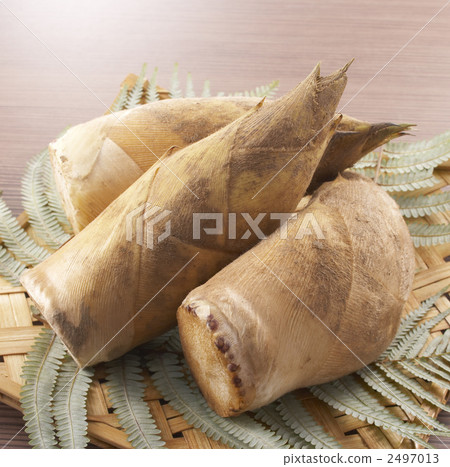 竹筍 2497013