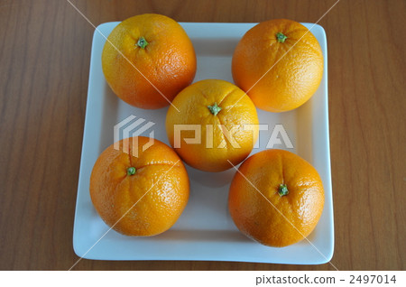 Orange  2497014