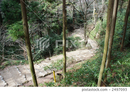 Maio山Fukusera 2497093