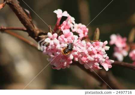Spring in Slovenia Spring in Slovenia 2497716