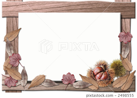 Fall Fall 2498555