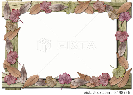 Fall Fall 2498556
