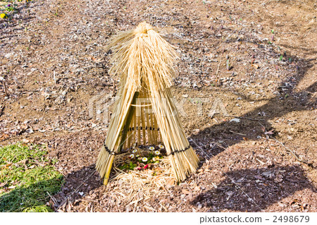 Straw in the Ayan Park Straw in the Ayan Park 2498679