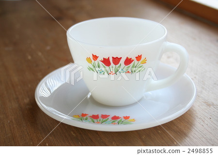 可愛的鬱金香 可愛的鬱金香 2498855