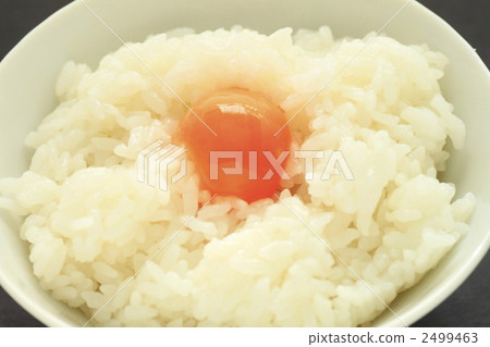 Egg Kakugo Egg Kakugo 2499463