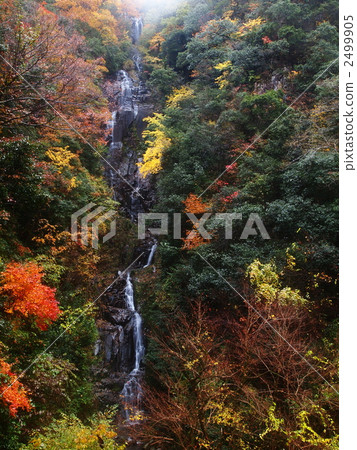 秋葉長治瀑布 2499905