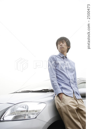 driving, male, man 2500473