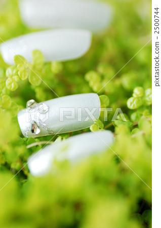 nail art, nail tips, nail chip 2500744