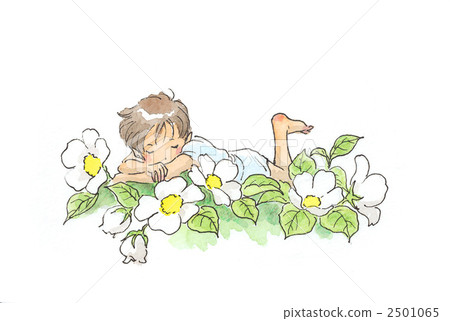 A dwarf sleeping in a white flower 2501065