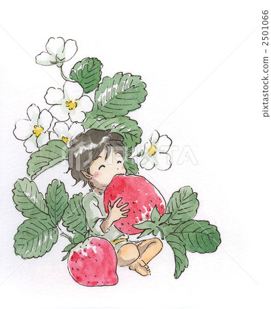 A dwarf that gnaws strawberries 2501066