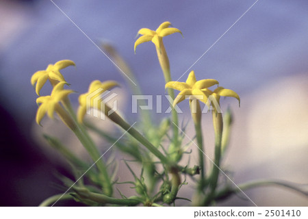 60783 Conroga 60783 Conroga 2501410