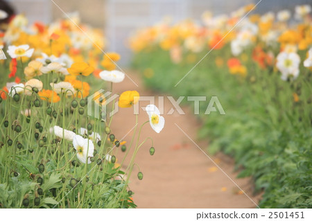 journey, touristic, travel 2501451